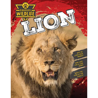 Lion - Paperback