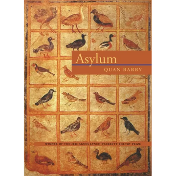 Asylum - Paperback