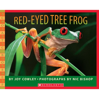 Red-Eyed Tree Frog - Paperback