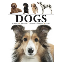 Dogs: A Celebration of Our Canine Friends - Paperback