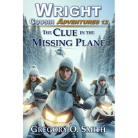 The Clue in the Missing Plane - Paperback