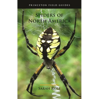 Spiders of North America - Paperback