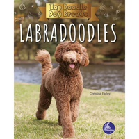 Labradoodles - Paperback