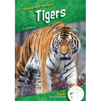 Tigers - Library Binding