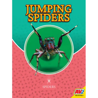 Jumping Spiders - Library Binding