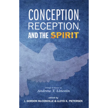 Conception, Reception, and the Spirit: Essays in Honor of Andrew T. Lincoln - Hardcover