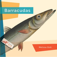 Barracudas - Paperback