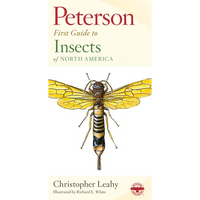 Peterson First Guide to Insects - Paperback