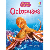 Octopuses (Usborne Beginners) - Paperback
