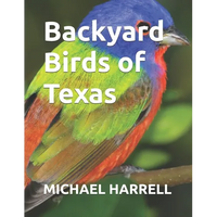 Backyard Birds of Texas - Paperback