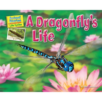 A Dragonfly's Life - Paperback