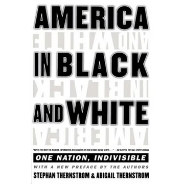 America in Black and White - Paperback