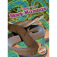 Black Mambas - Library Binding