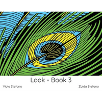 Look - Book 3: VI - Paperback
