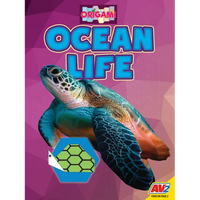 Ocean Life - Paperback