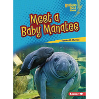 Meet a Baby Manatee - Paperback