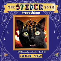 The Spider Is In: Prepositions - Paperback