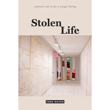 Stolen Life - Paperback
