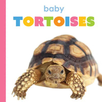 Baby Tortoises - Paperback