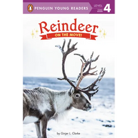 Reindeer: On the Move! - Paperback
