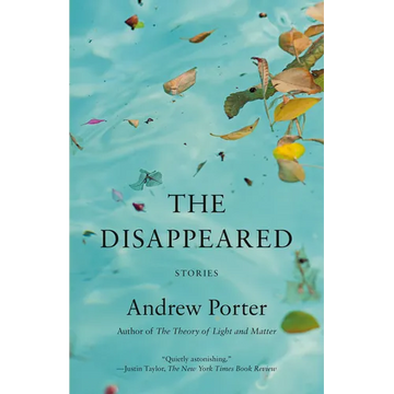 The Disappeared: Stories - Paperback