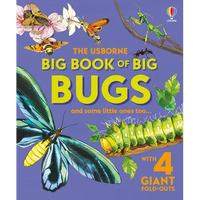 Big Book of Big Bugs - Hardcover