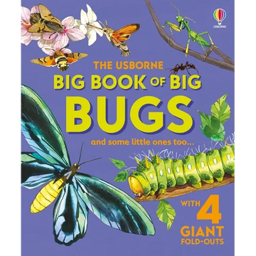 Big Book of Big Bugs - Hardcover