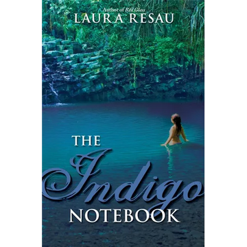 The Indigo Notebook - Paperback