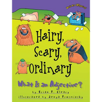 Hairy, Scary, Ordinary: What Is an Adjective? - Paperback