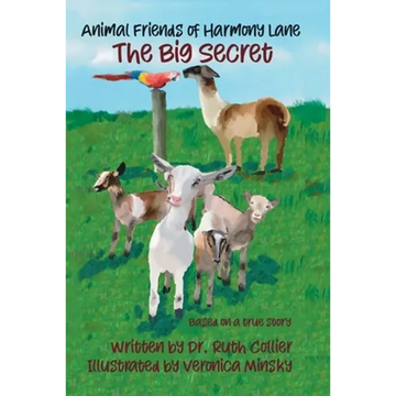 The Big Secret - Paperback
