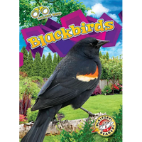 Blackbirds - Library Binding