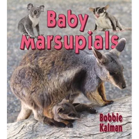Baby Marsupials - Paperback