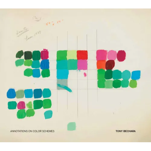 Tony Bechara: Annotations on Color Schemes