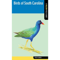 Birds of South Carolina - Paperback