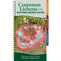 Common Lichens of the Eastern United States: Easily Identify 58 Widespread Types - Spiral