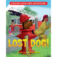 Lost Dog! - Paperback