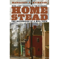 Homestead: The Households of a Mill Town - Paperback