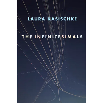 The Infinitesimals - Paperback