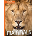 Mammals