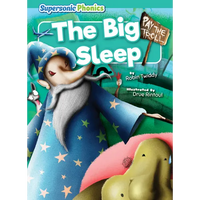The Big Sleep - Library Binding