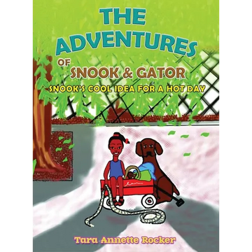 The Adventure of Snook & Gator: Snook's Cool Idea for a Hot Day - Hardcover