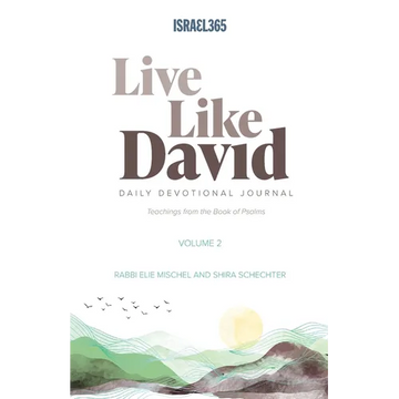 Live Like David - Volume 2 - Paperback
