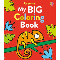 My Big Coloring Book - Paperback