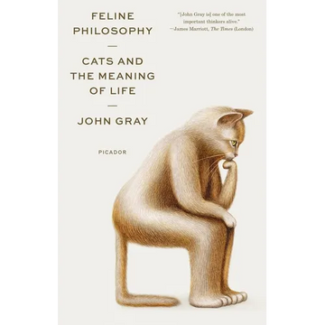 Feline Philosophy: Cats and the Meaning of Life - Paperback