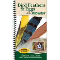 Bird Feathers & Eggs of the Midwest: Identify 40 Species of Common Backyard Birds - Spiral
