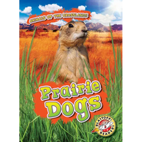 Prairie Dogs - Library Binding
