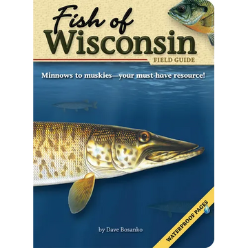 Fish of Wisconsin Field Guide - Paperback
