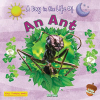 An Ant - Paperback