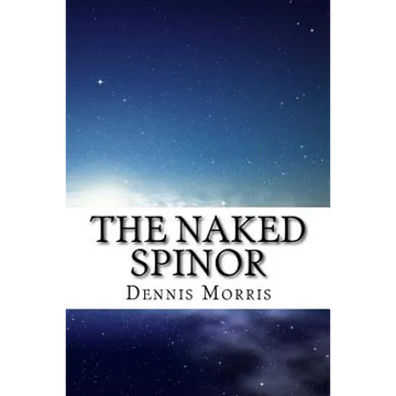 The Naked Spinor: A Rewrite of Clifford Algebra - Paperback