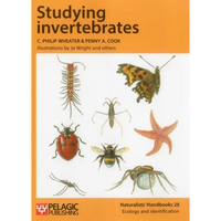 Studying Invertebrates - Paperback